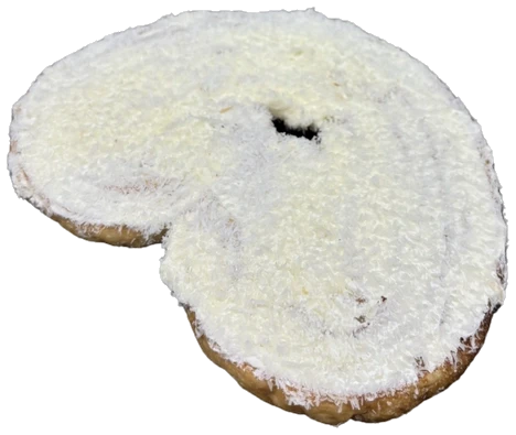 Palmera de Coco